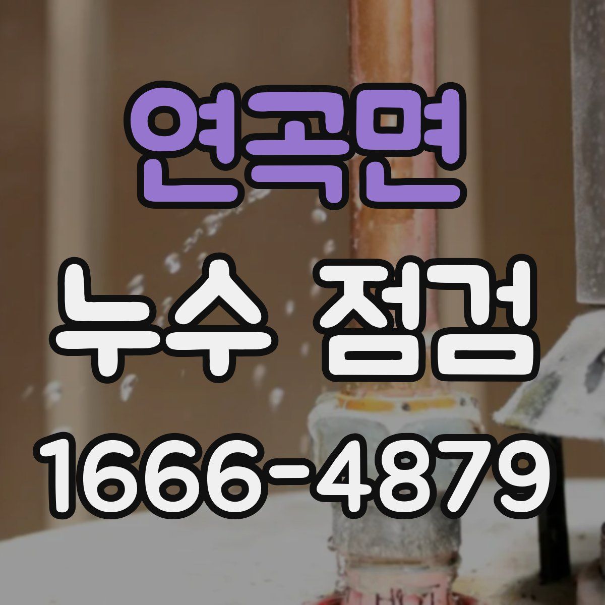 연곡면 누수 점검