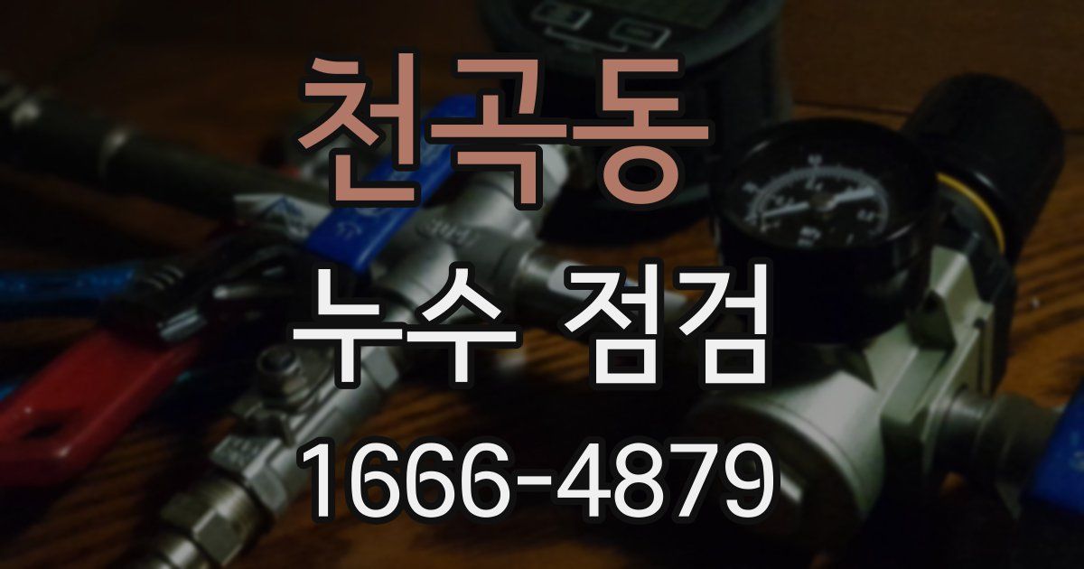 천곡동 누수 점검