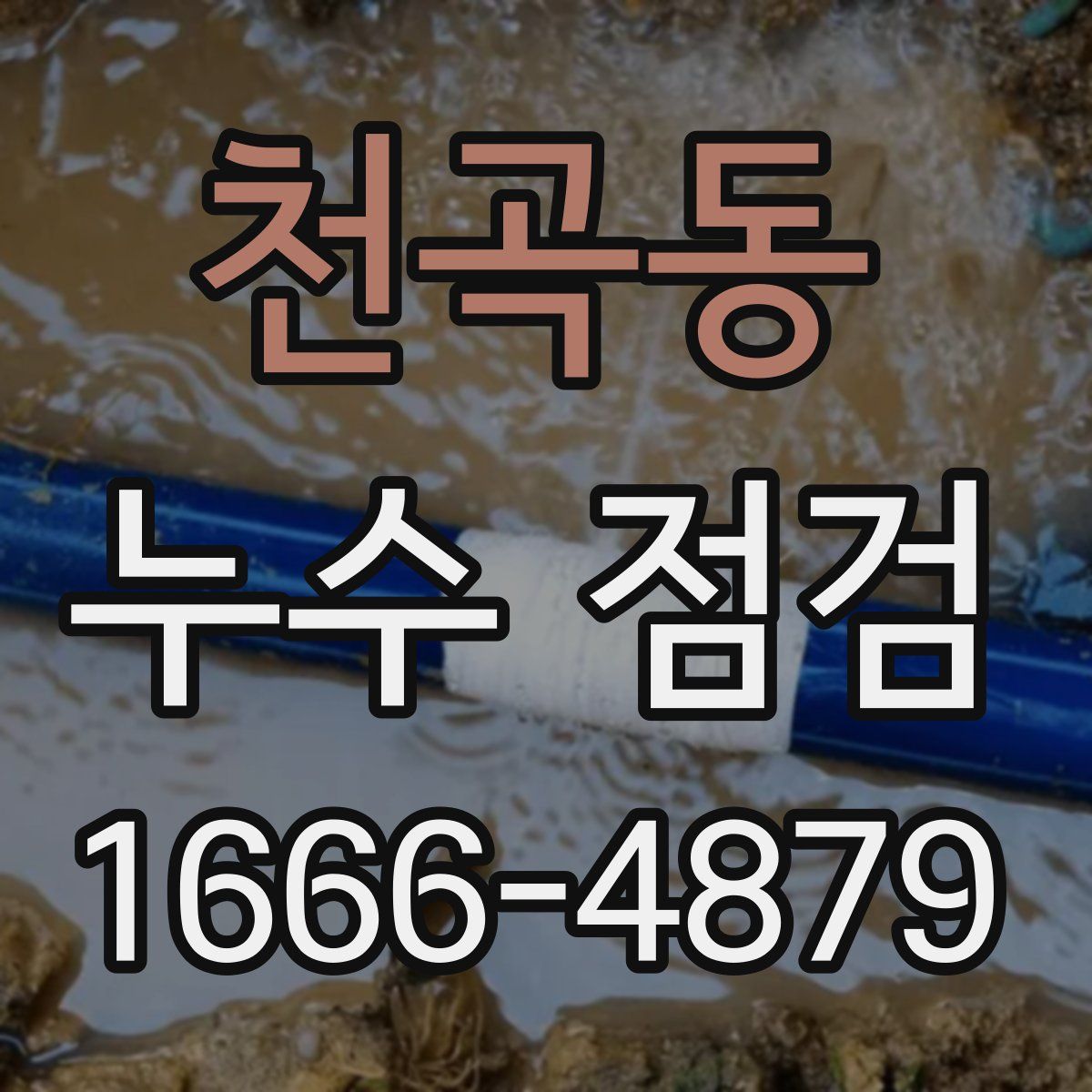 천곡동 누수 점검