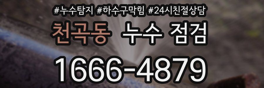 천곡동 누수 점검