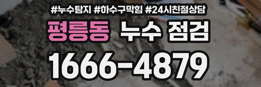 평릉동 누수 점검