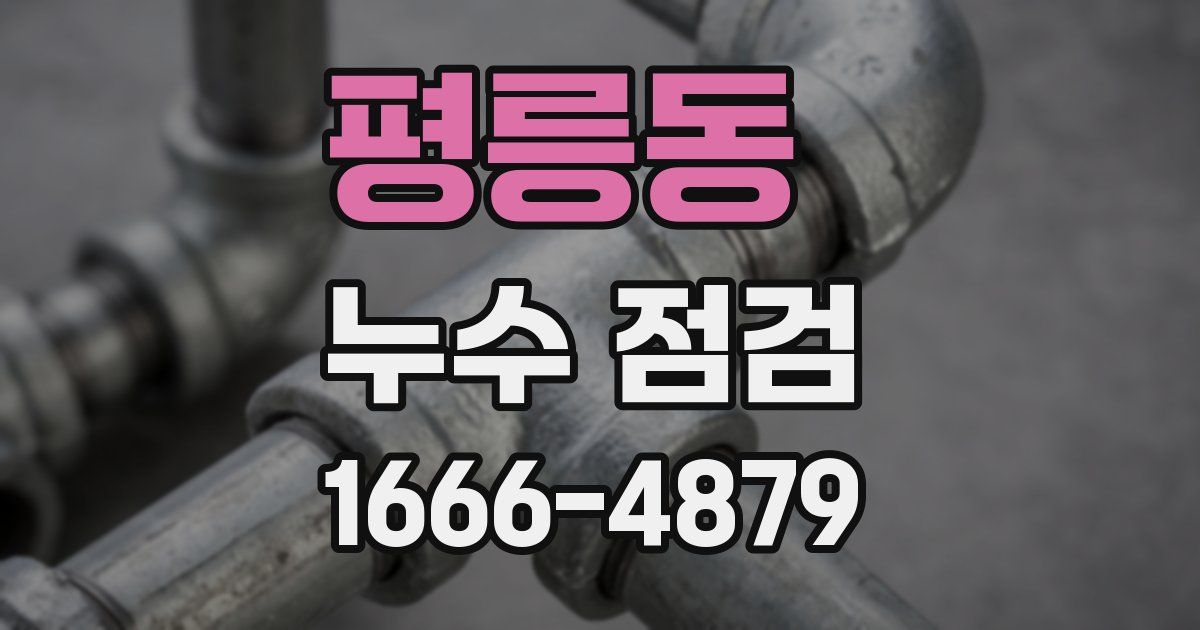 평릉동 누수 점검
