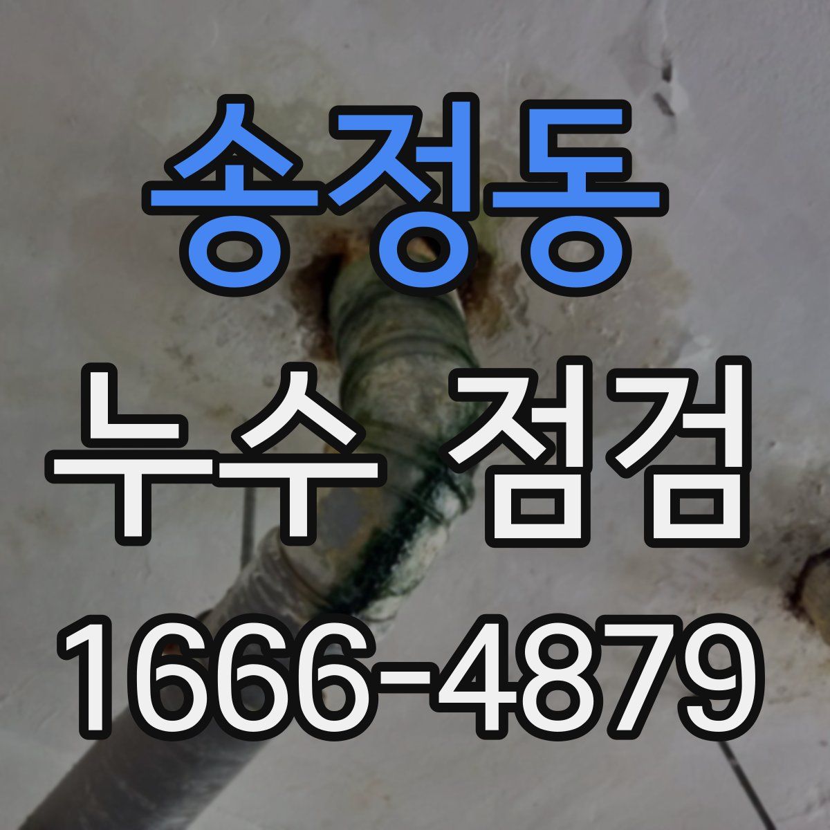 송정동 누수 점검