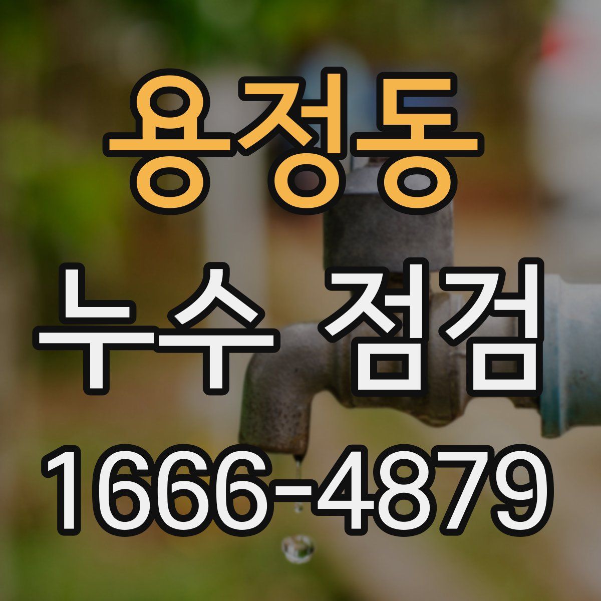 용정동 누수 점검