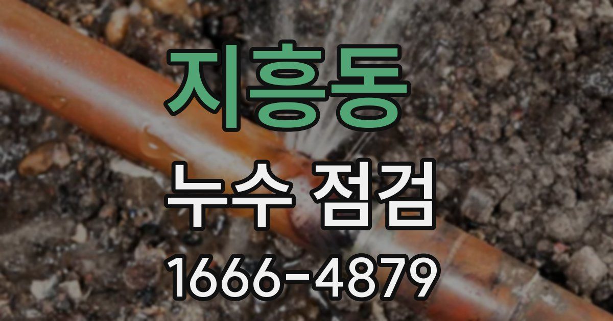 지흥동 누수 점검