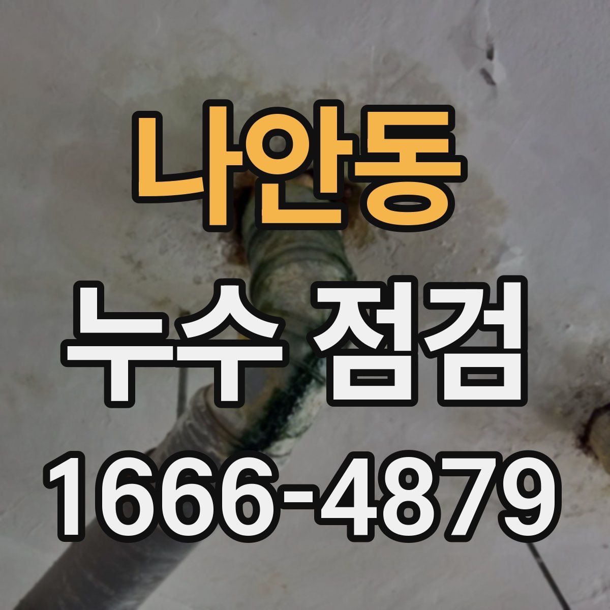 나안동 누수 점검