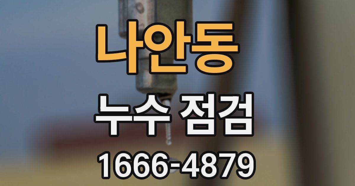 나안동 누수 점검