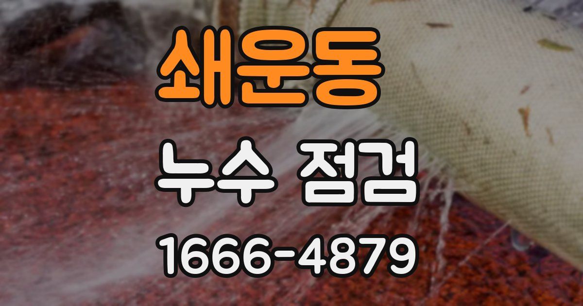 쇄운동 누수 점검