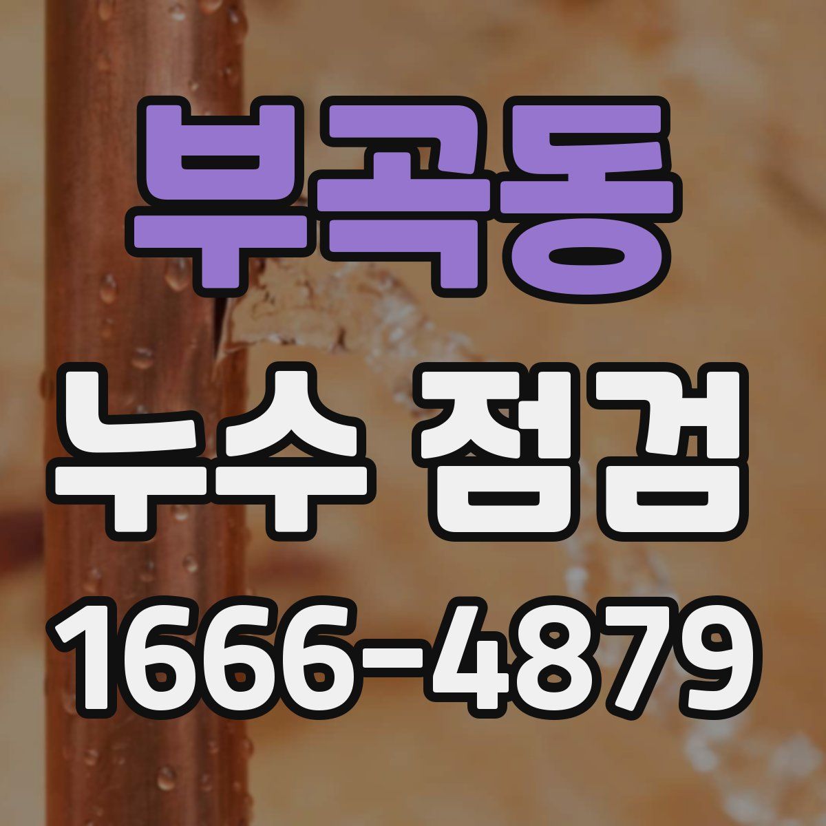 부곡동 누수 점검