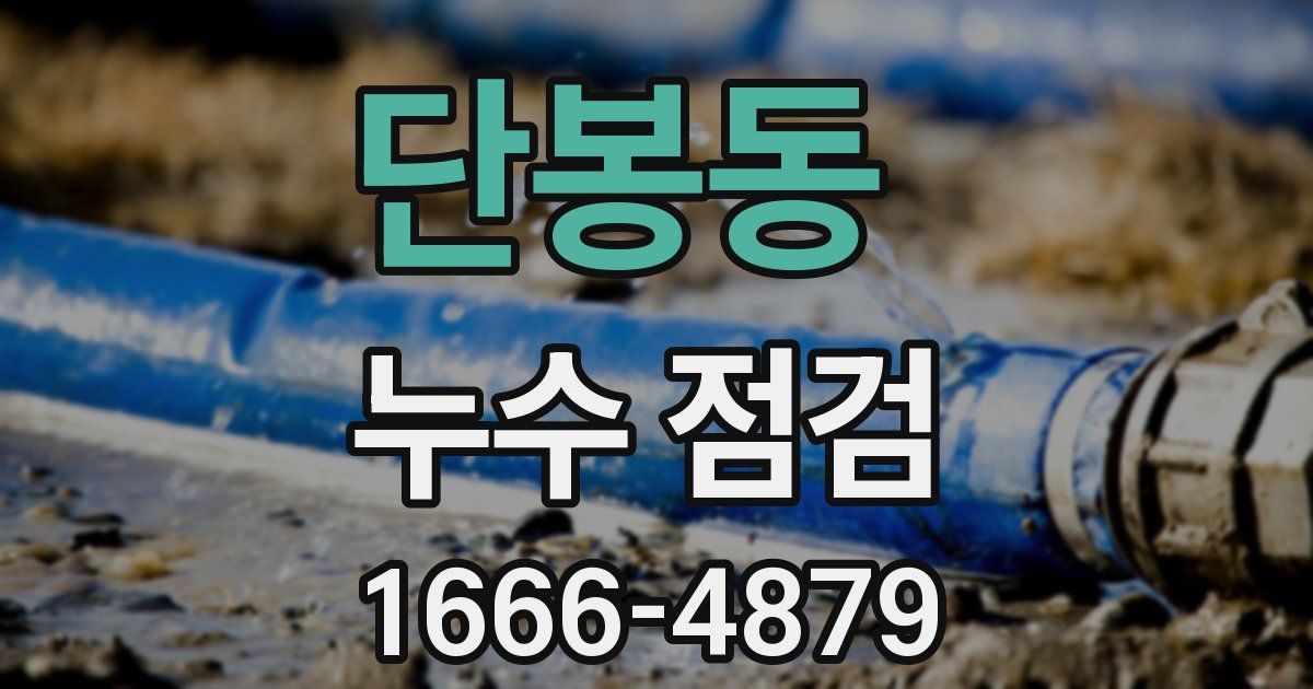 단봉동 누수 점검