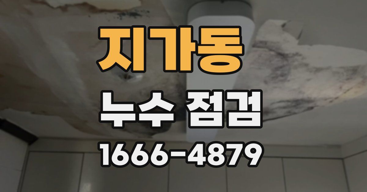 지가동 누수 점검
