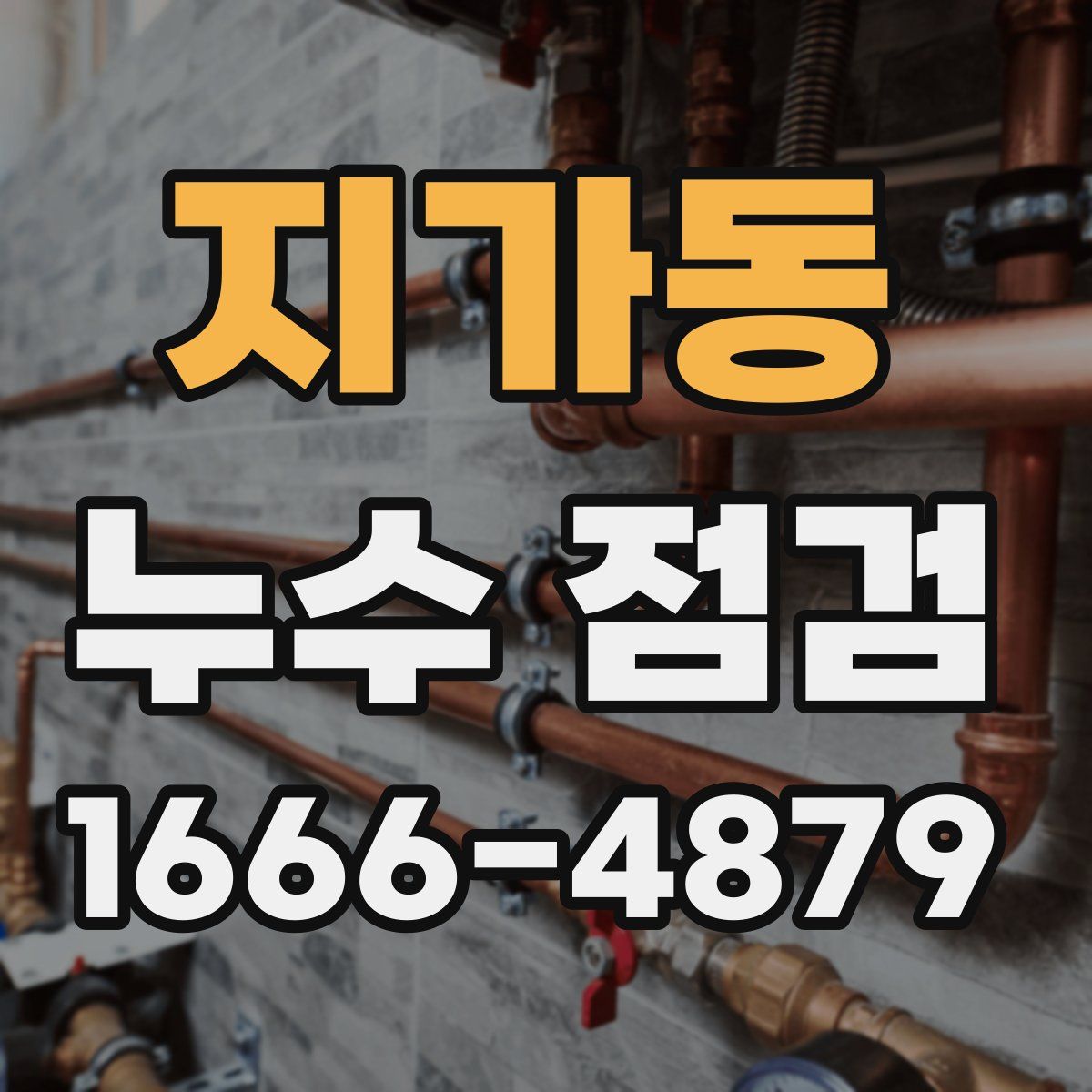 지가동 누수 점검