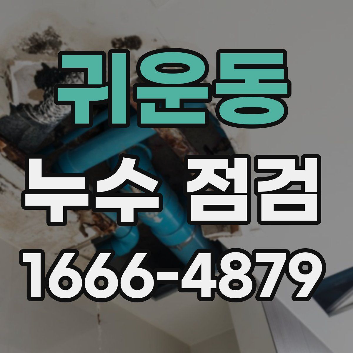 귀운동 누수 점검