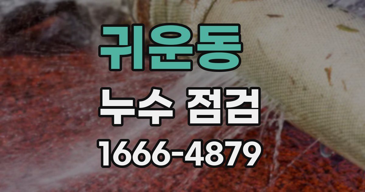 귀운동 누수 점검