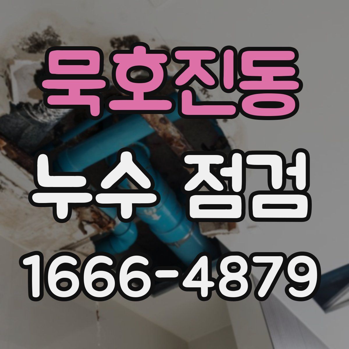 묵호진동 누수 점검