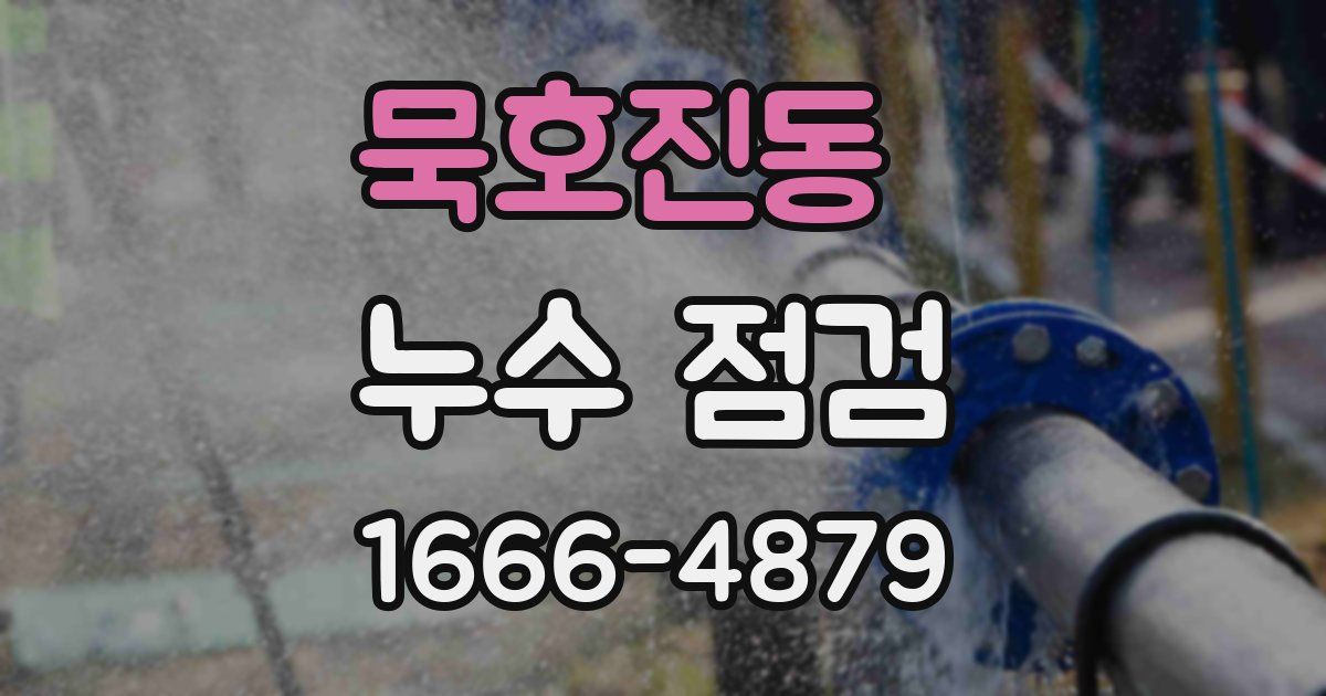 묵호진동 누수 점검