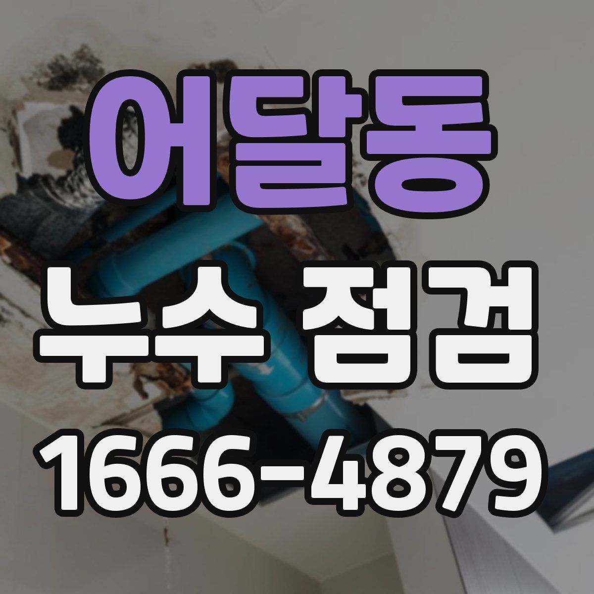 어달동 누수 점검