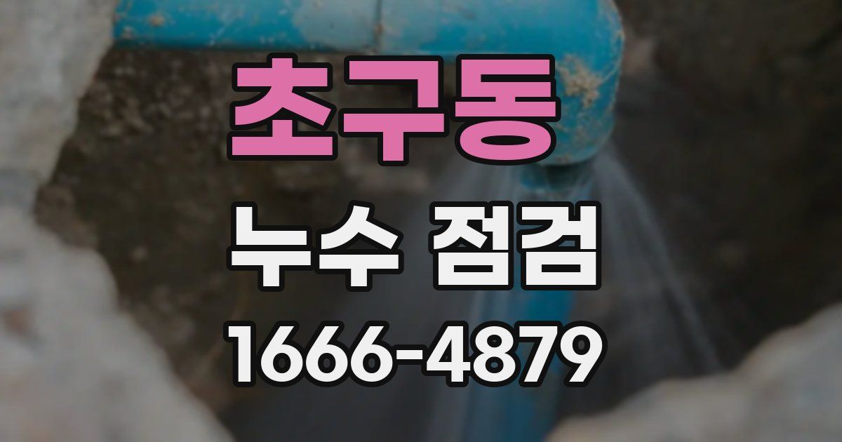 초구동 누수 점검