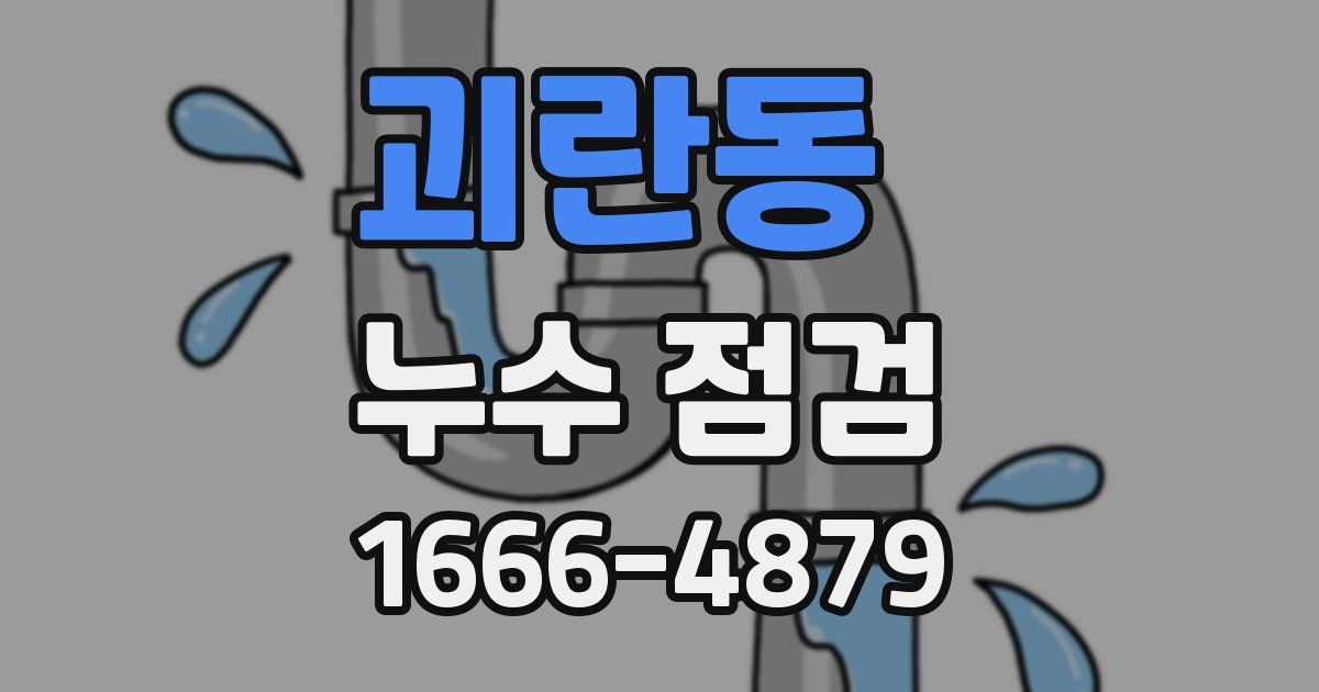 괴란동 누수 점검
