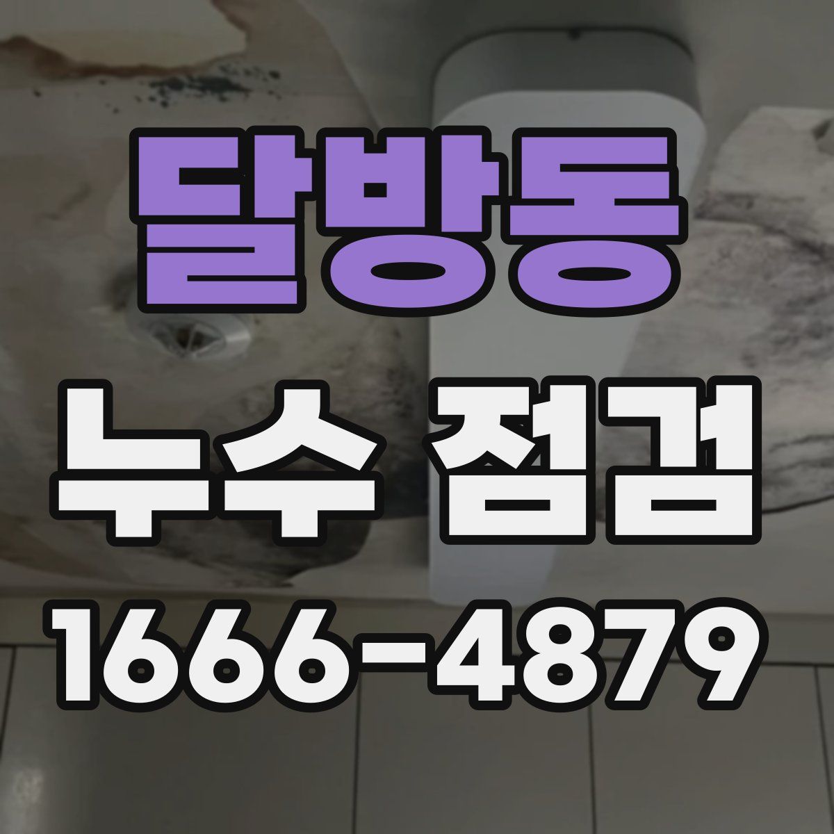 달방동 누수 점검