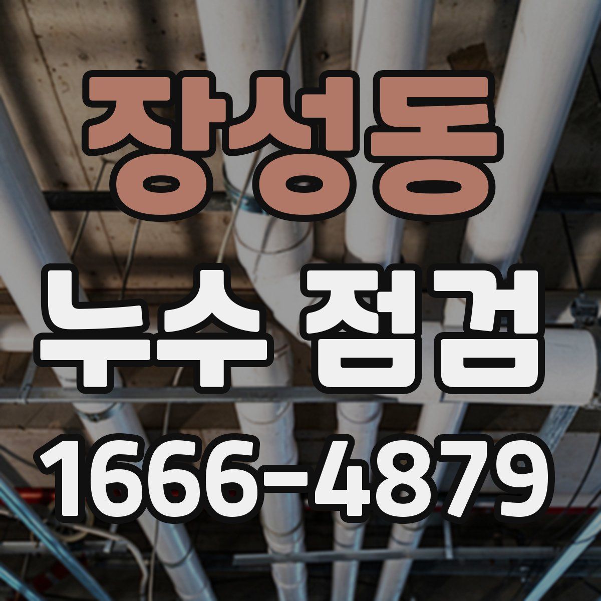 장성동 누수 점검