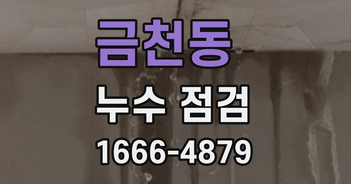 금천동 누수 점검