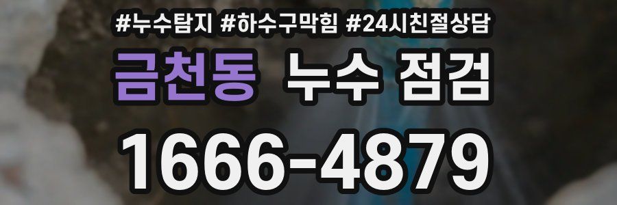 금천동 누수 점검