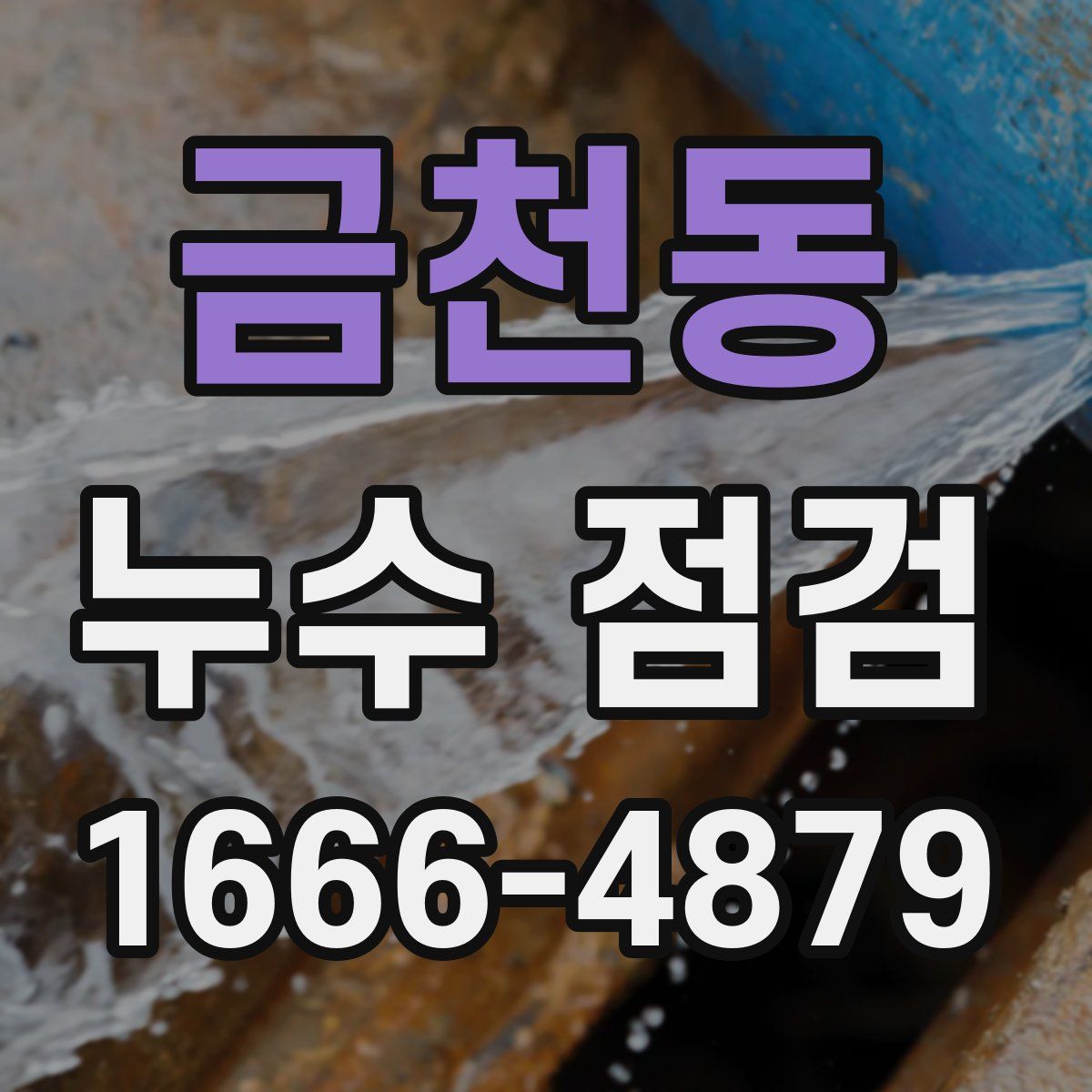 금천동 누수 점검