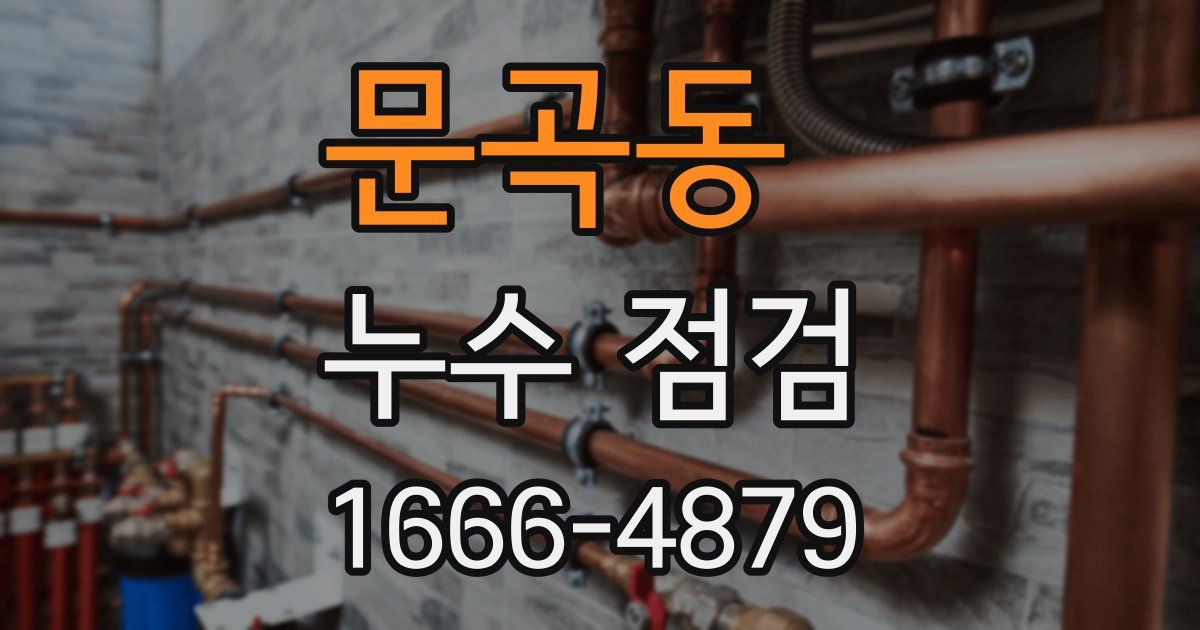 문곡동 누수 점검