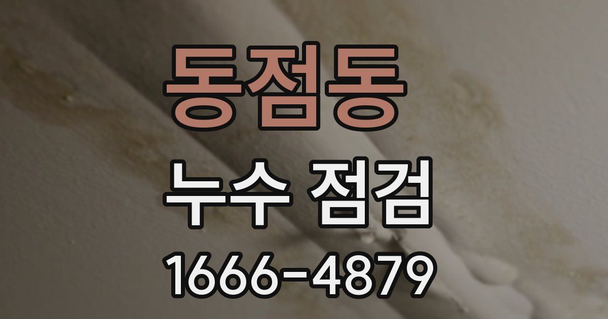 동점동 누수 점검
