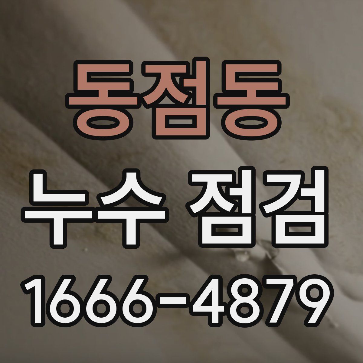 동점동 누수 점검