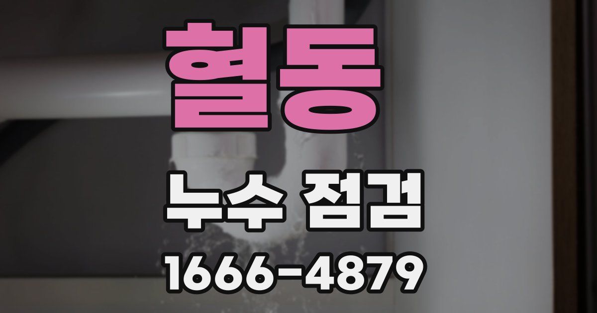 혈동 누수 점검