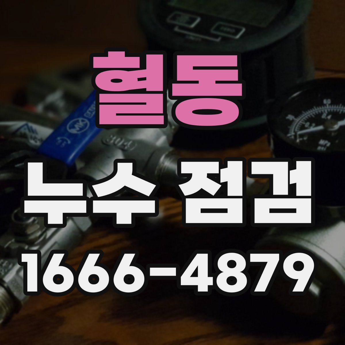 혈동 누수 점검