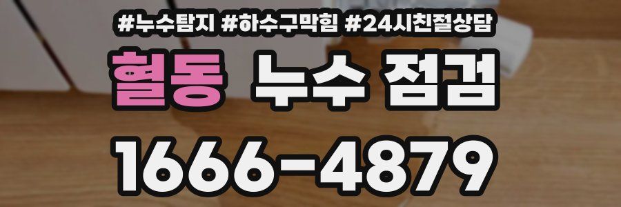 혈동 누수 점검