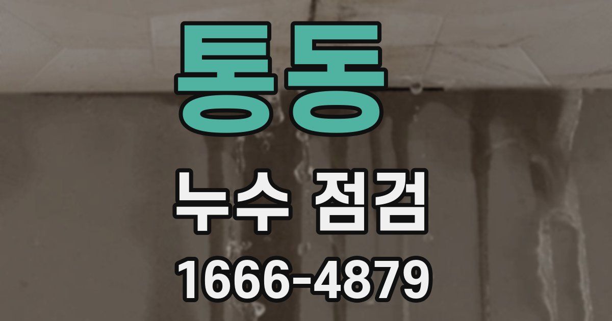 통동 누수 점검