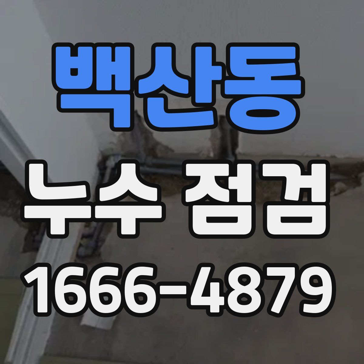 백산동 누수 점검