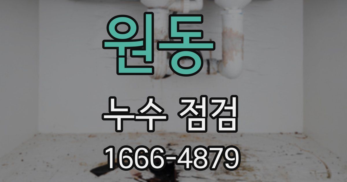 원동 누수 점검