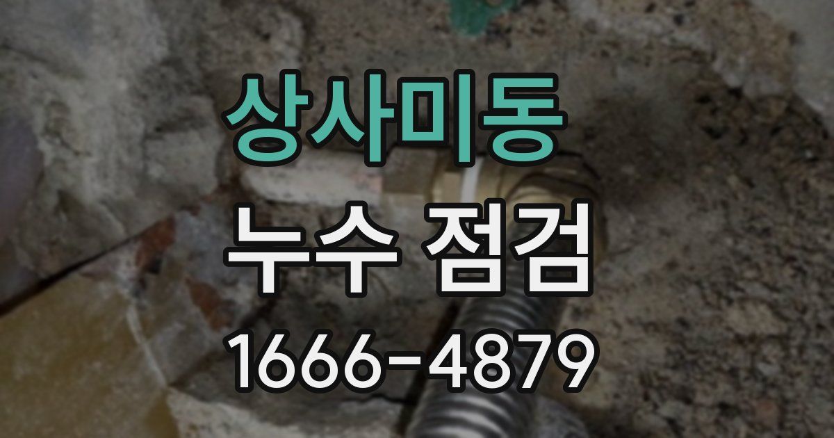 상사미동 누수 점검