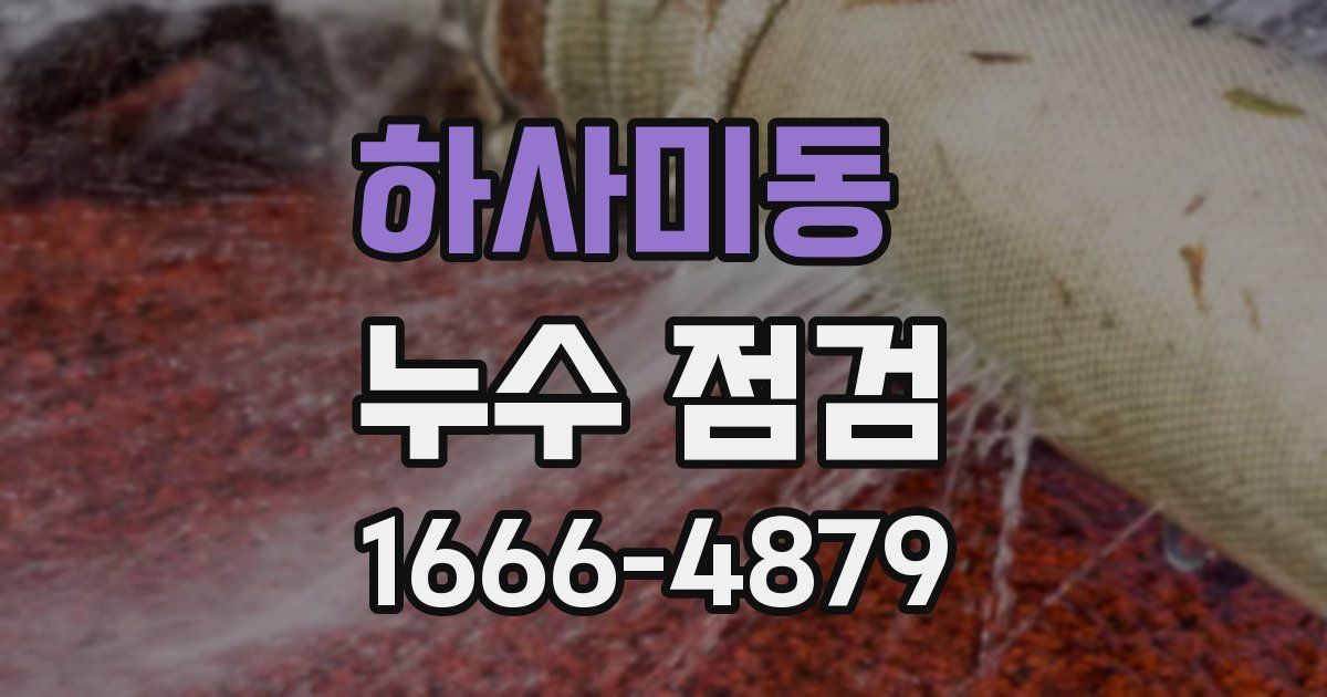 하사미동 누수 점검