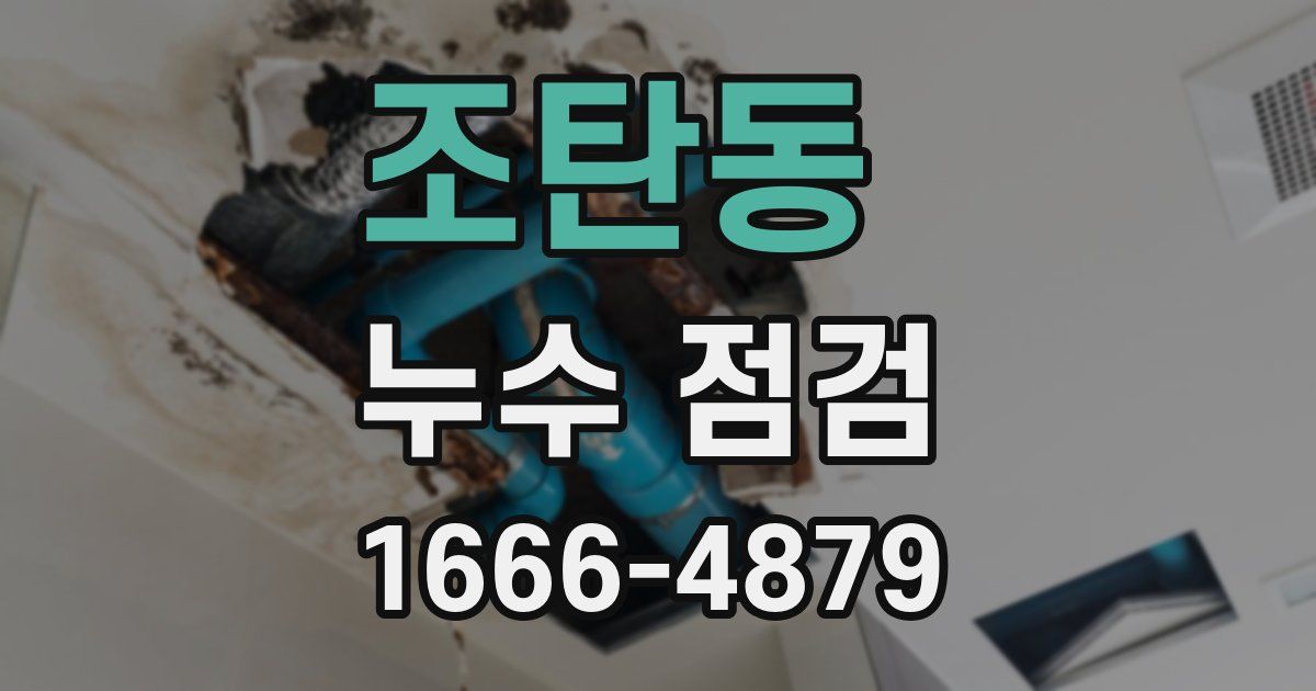 조탄동 누수 점검