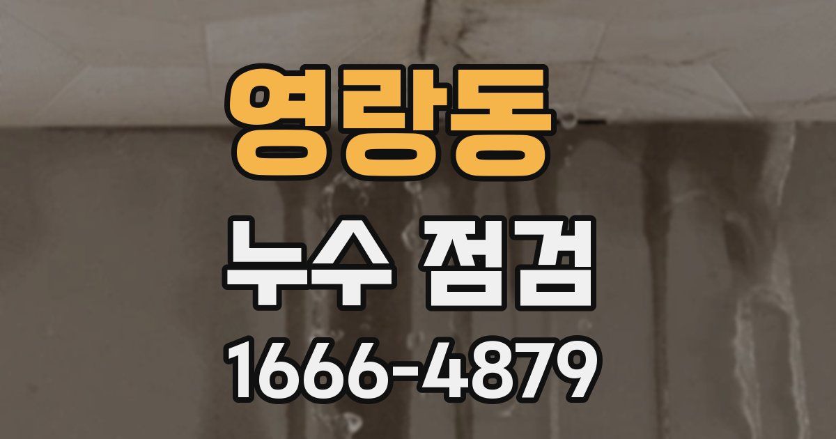 영랑동 누수 점검