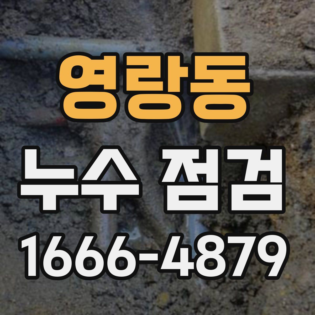 영랑동 누수 점검