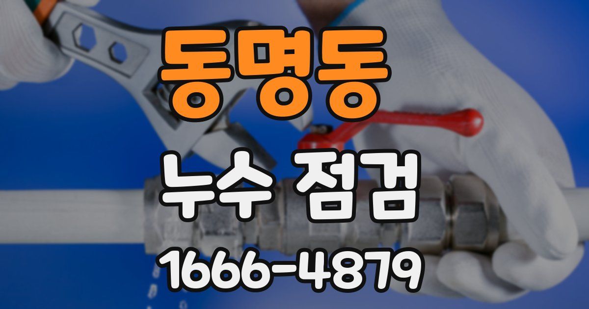 동명동 누수 점검