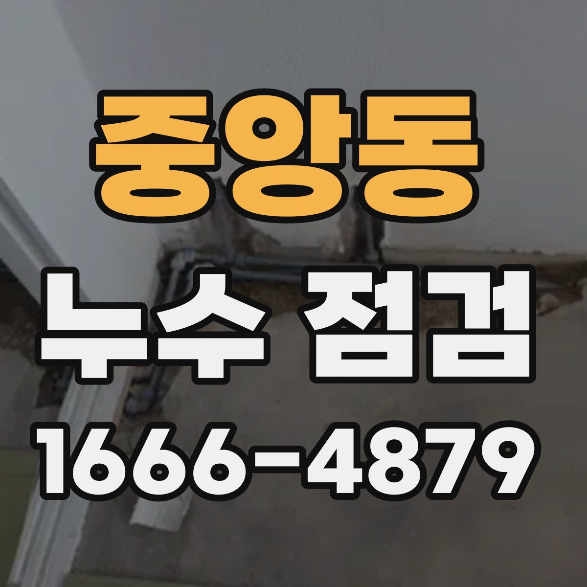 중앙동 누수 점검