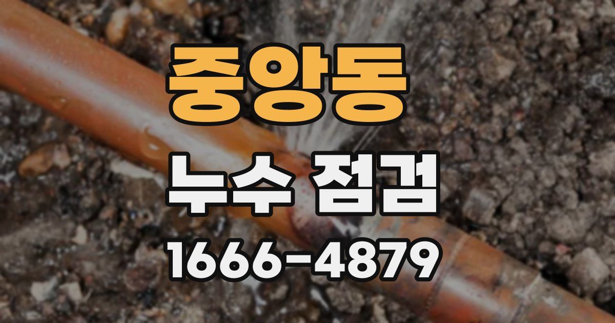 중앙동 누수 점검