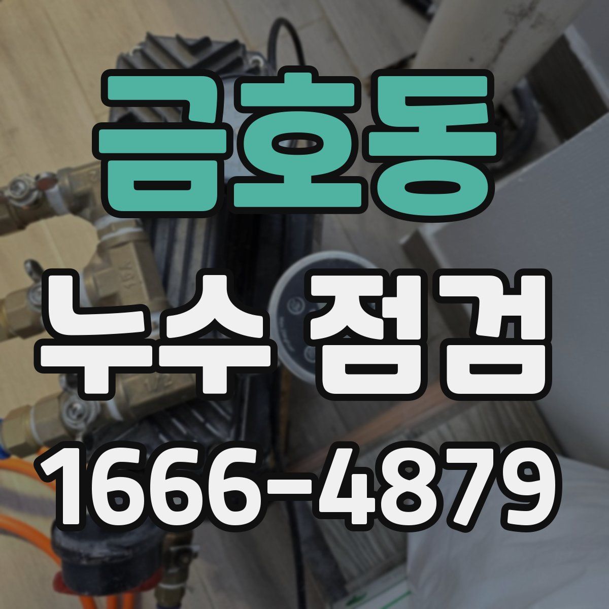 금호동 누수 점검