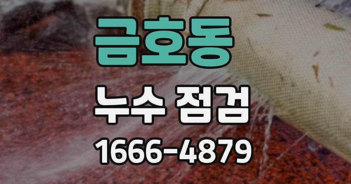 금호동 누수 점검