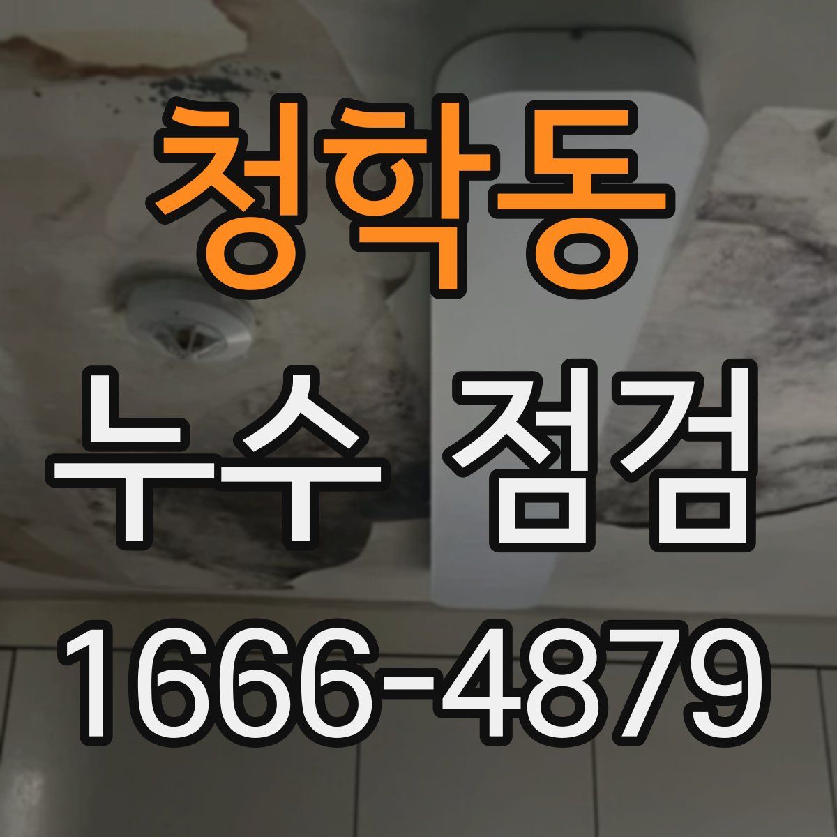 청학동 누수 점검