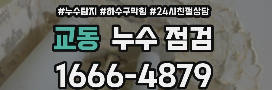 교동 누수 점검