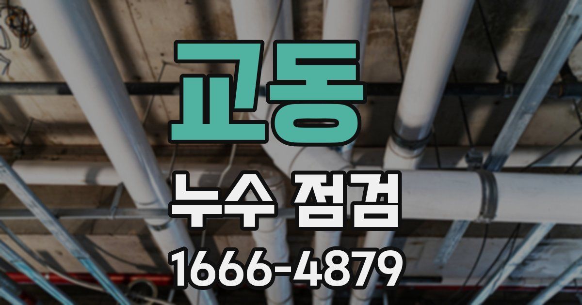 교동 누수 점검